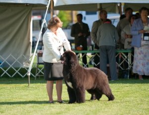 AGBFNewfoundland.jpg