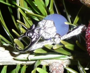 clasp01.JPG