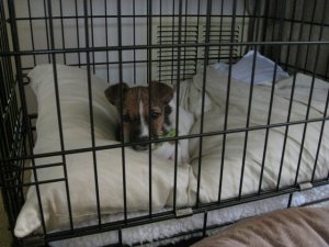IMG_1955.JPG