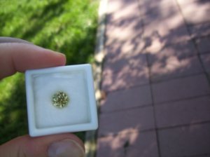 100_1234.jpg