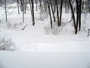 snow front 1-12-11.JPG