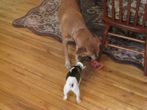 IMG_1965.JPG