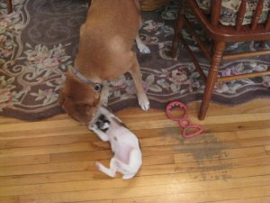 IMG_1969.JPG