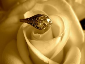 IMG_1584.JPG