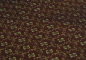 carpet.JPG carpet.JPG