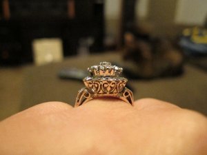 IMG_0571.jpg