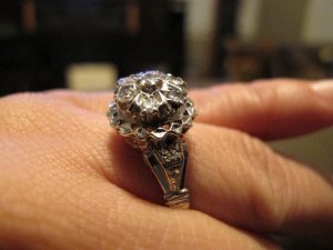 IMG_0575.jpg