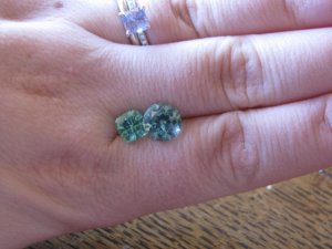 IMG_1015 freke.jpg