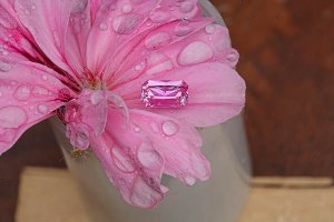 IMG_5036.jpg