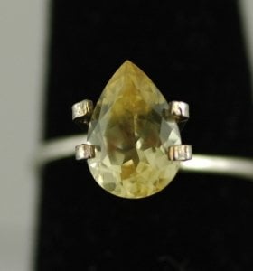 yellow chryso.JPG