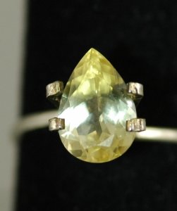 yellow chryso2.JPG