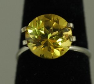 yellow chryso3.JPG