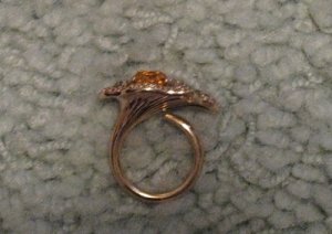 mandarin garnet RR_8.jpg