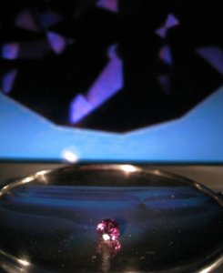 spinelatorium1.jpg