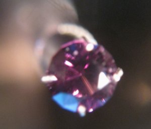 spunel.jpg