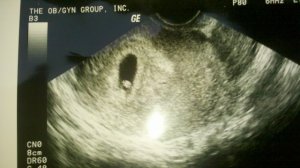 babywags1.jpg