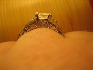 Side View.jpg