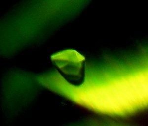 Kryptonite in tourmaline.jpg