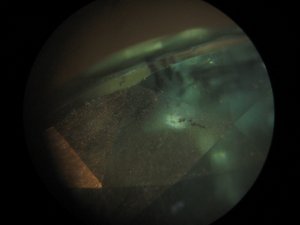 IMG_2948.JPG