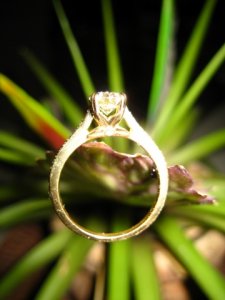 EngagementRing10.jpg EngagementRing10.jpg