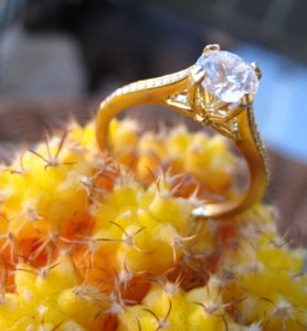 EngagementRing7.jpg EngagementRing7.jpg