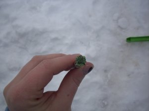 100_1792.jpg