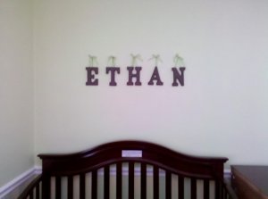 IMG_20110130_111315.JPG