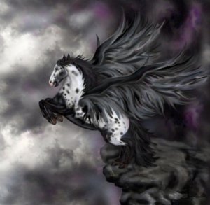 pegasus8_copy.jpg