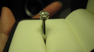 IMG_7654.JPG