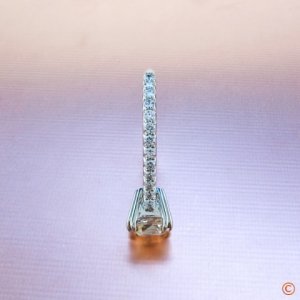 ring3.JPG ring3.JPG