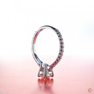 ring2.JPG ring2.JPG