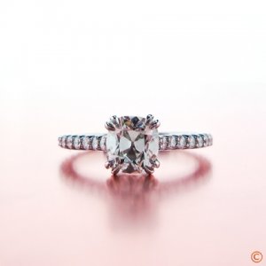 ring1.JPG ring1.JPG
