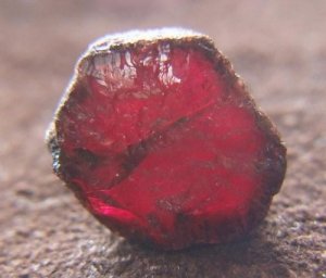 ruby-898.jpg