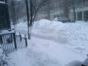 Snow out front.jpg