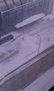 Sears in snow.jpg