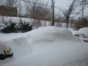 DSCN1565.JPG
