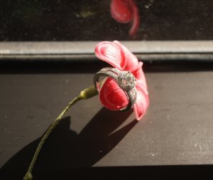 ring 012EDIT.jpg