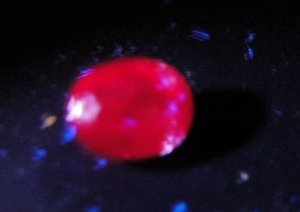 DSC02183.JPG