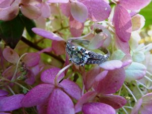e-ring.oct2010.b.omie.JPG