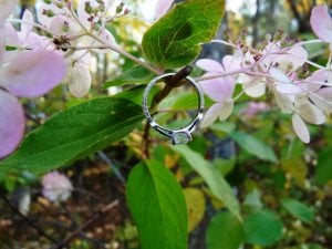 e-ring.oct2010.c.omie.JPG