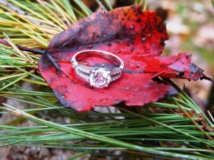 e-ring.oct2010.d.omie.JPG