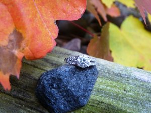e-ring.oct2010.e.omie.JPG