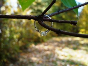 e-ring.oct2010.f.omie.JPG
