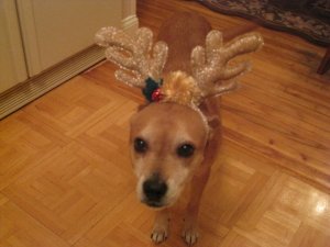 IMG_1906.JPG