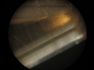 microscope.JPG microscope.JPG