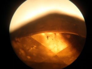 microscopespess.jpg