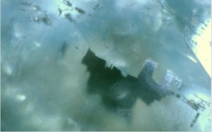 Inclusion in tourmaline5_1.jpg