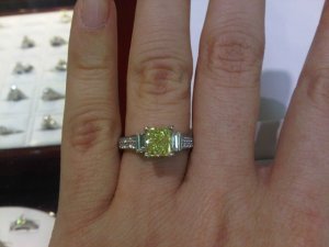 IMG00333-20110205-1431.jpg