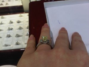 IMG00332-20110205-1431.jpg