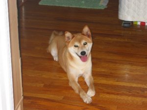 IMG_0218.jpg